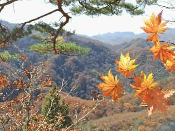 2025年10月2日