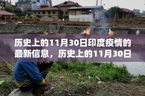 深度解析,历史上的11月30日印度疫情最新信息回顾与解析