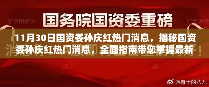 揭秘国资委孙庆红最新动态,全面指南带您掌握热门消息速递