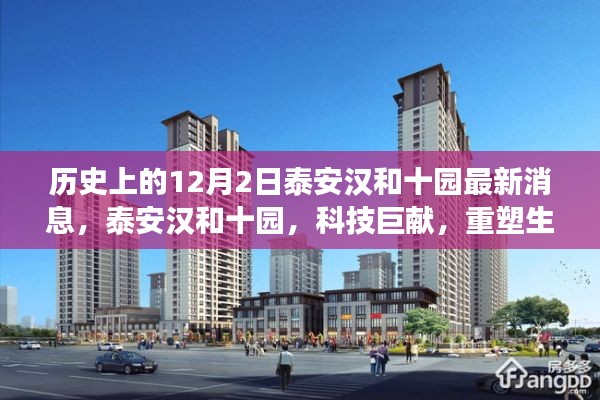 穷鸟入怀 第2页