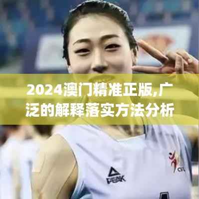 2024澳门精准正版,广泛的解释落实方法分析_Surface89.626-4