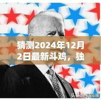 独家解析揭秘，预测中的斗鸡王者——2024年最新斗鸡猜测版全面评测与预测