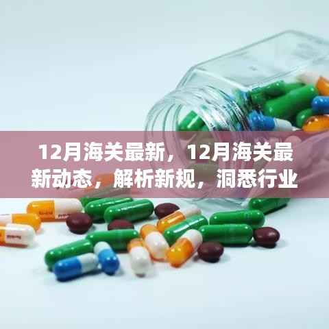 12月海关最新动态解析,新规洞悉与行业变化观察