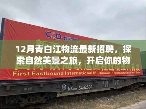 青白江物流最新招聘启事,开启物流人生新篇章,共舞蓝天之下的自然美景之旅