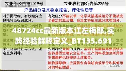 48724cc最新版本江左梅郎,实践经验解释定义_BT135.691