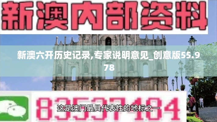新澳六开历史记录,专家说明意见_创意版55.978