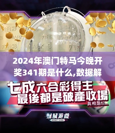 2024年澳门特马今晚开奖341期是什么,数据解析支持计划_T4.237