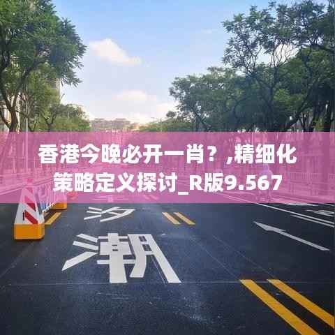 香港今晚必开一肖?,精细化策略定义探讨_R版9.567