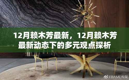 12月赖木芳最新动态,多元观点下的探析