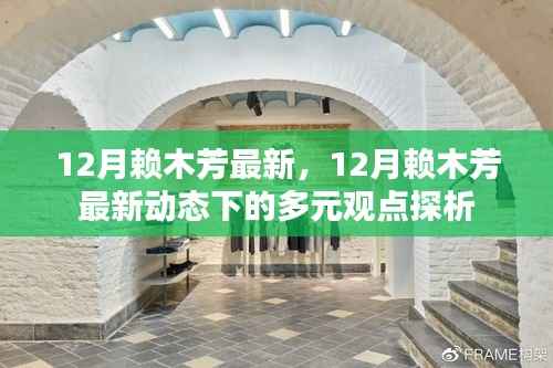 12月赖木芳最新动态,多元观点下的探析