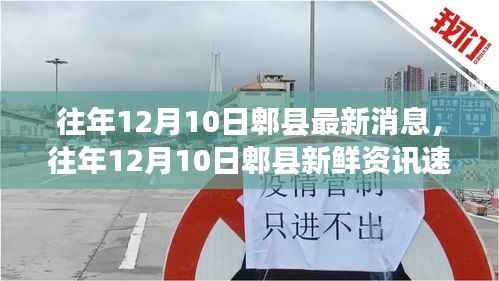 往年12月10日郫县动态速递，最新消息与新鲜资讯汇总