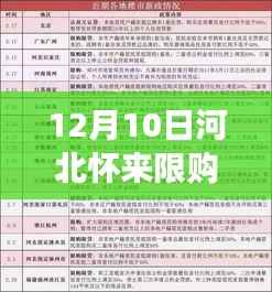 河北怀来限购最新消息解读与操作指南,最新政策解读及操作指南(12月10日更新)