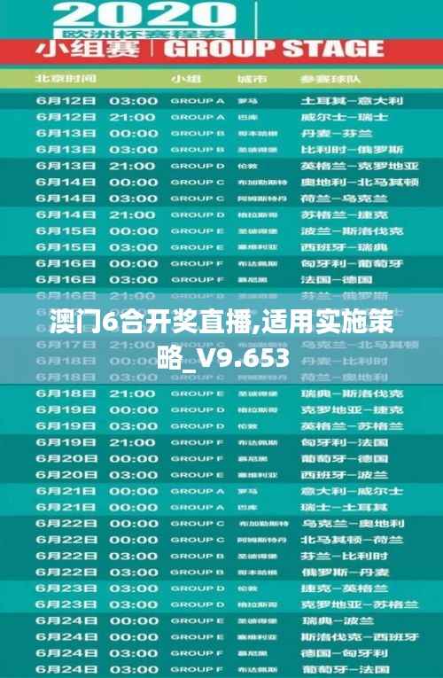 澳门6合开奖直播,适用实施策略_V9.653