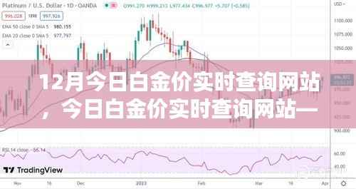 掌握白金价格动态,今日白金价实时查询网站