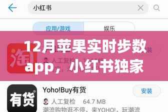 揭秘独家推荐，小红书推荐的苹果实时步数app，轻松掌握每日行走足迹的秘密！