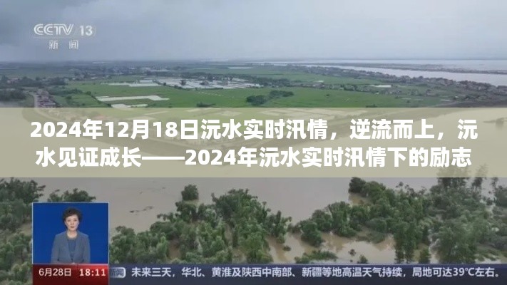 逆流而上,见证成长,2024年沅水汛情下的励志之旅