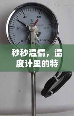 温度计中的特殊警报,家的暖心时刻