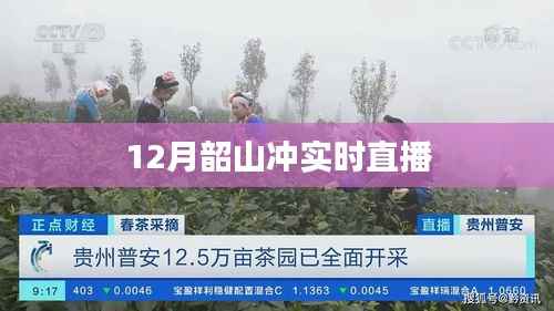 张牙舞爪 第2页