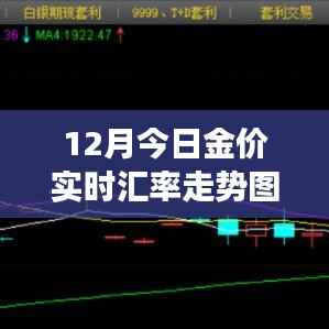 黄金汇率走势图解读与分析,最新金价实时动态