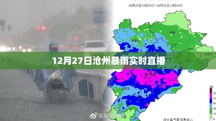 沧州暴雨实况直播,12月27日雨情全解析