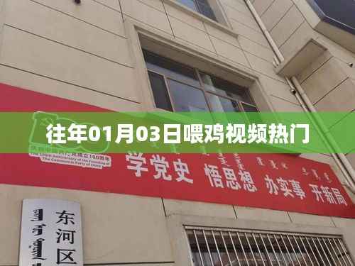 「新年首周喂鸡视频火爆上线」