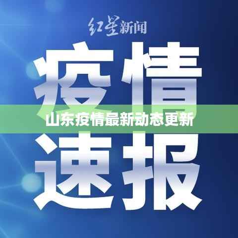 山东疫情最新动态更新