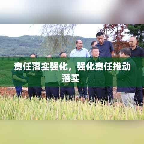 责任落实强化,强化责任推动落实