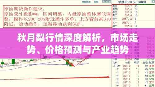 秋月梨行情深度解析,市场走势、价格预测与产业趋势