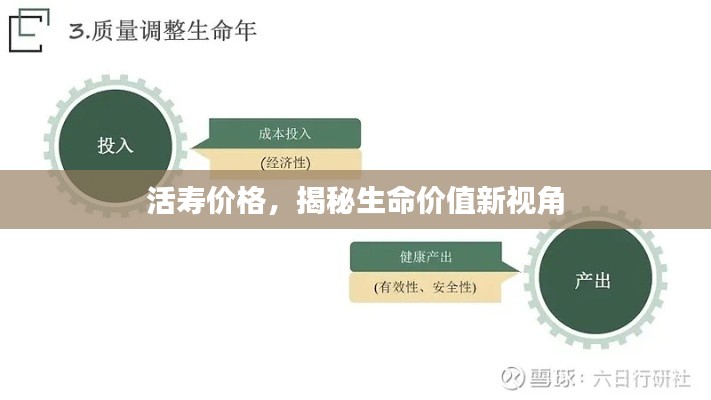活寿价格,揭秘生命价值新视角