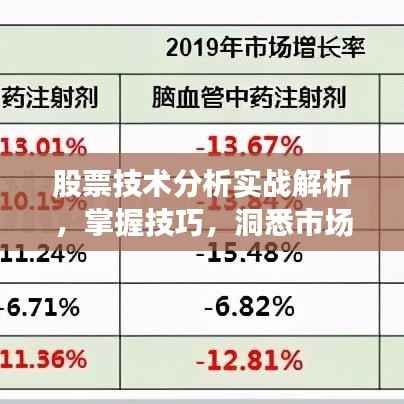 股票技术分析实战解析,掌握技巧,洞悉市场走势!