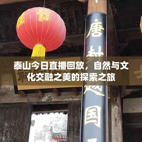 泰山今日直播回放，自然与文化交融之美的探索之旅